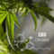 Ultra Cell CBD Cannabidiol
