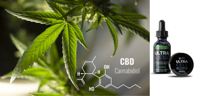Ultra Cell CBD Cannabidiol Ultra Cell CBD Cannabidiol