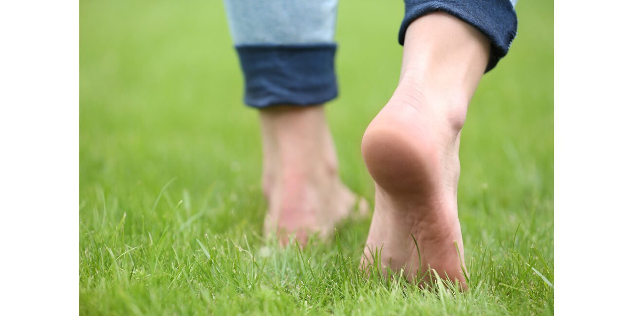 Earthing – grounding Earthing - grounding